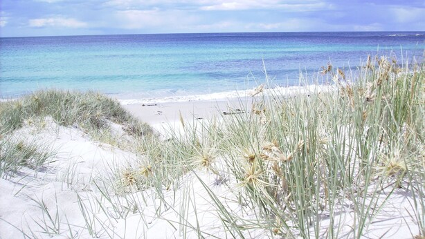 Ein Strand mit klarem, blauem Wasser, sandigem Ufer und grasbewachsenen Dünen.