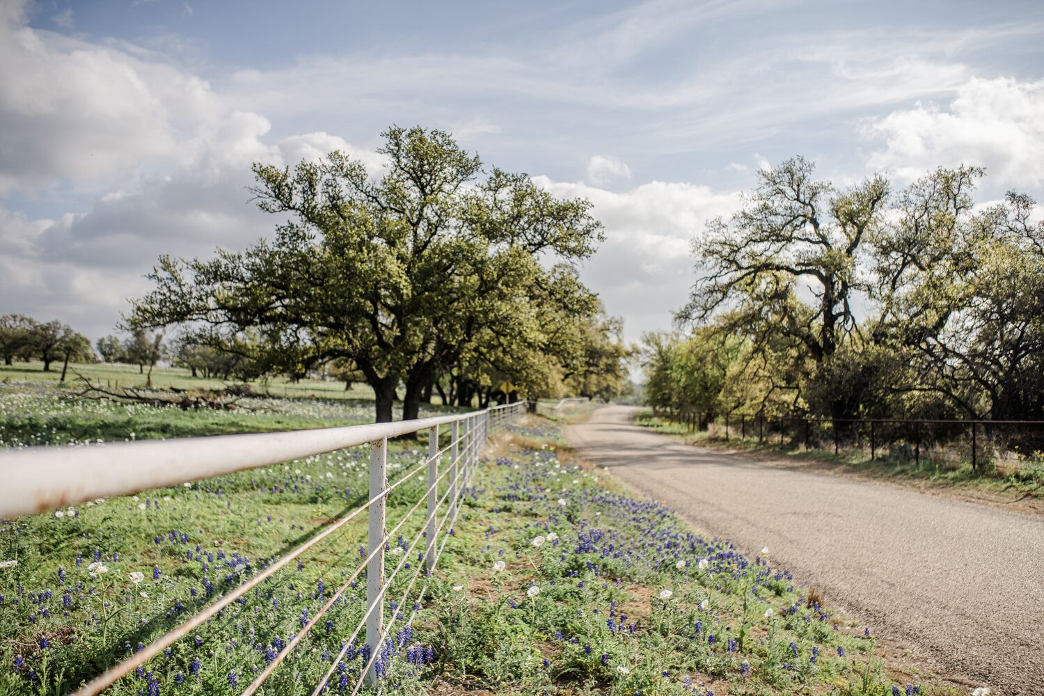 A rural road flanked by trees and a fence.