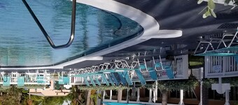 Christmas in the Caribbean