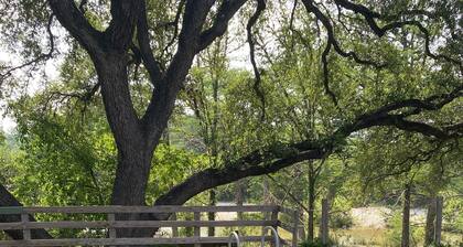 A perfect family vacation on the Frio River.