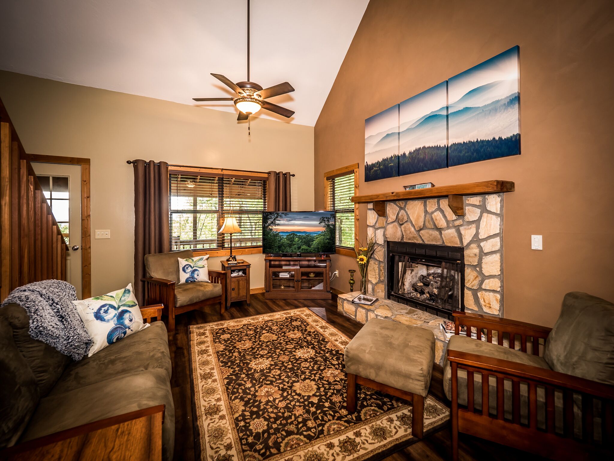 TV connectée, cheminée, jeux vidéo, lecteur de DVD