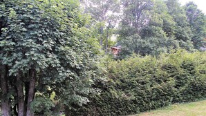A lush garden with dense foliage and a small building partially obscured by trees. - Quiet 3-Room Duplex with Covered Parking, Balcony, Near Ski Slopes (La Clusaz)