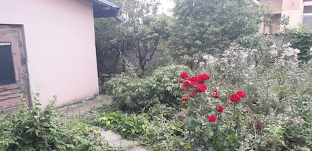 Property grounds. My Beautiful area from Ilfov near Bucharest is interesting place for to enjoy we