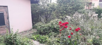 My Beautiful area from Ilfov near Bucharest is interesting place for to enjoy we