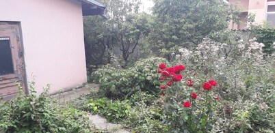 Mi hermosa zona de Ilfov, cerca de Bucarest, es un lugar interesante para disfrutar.