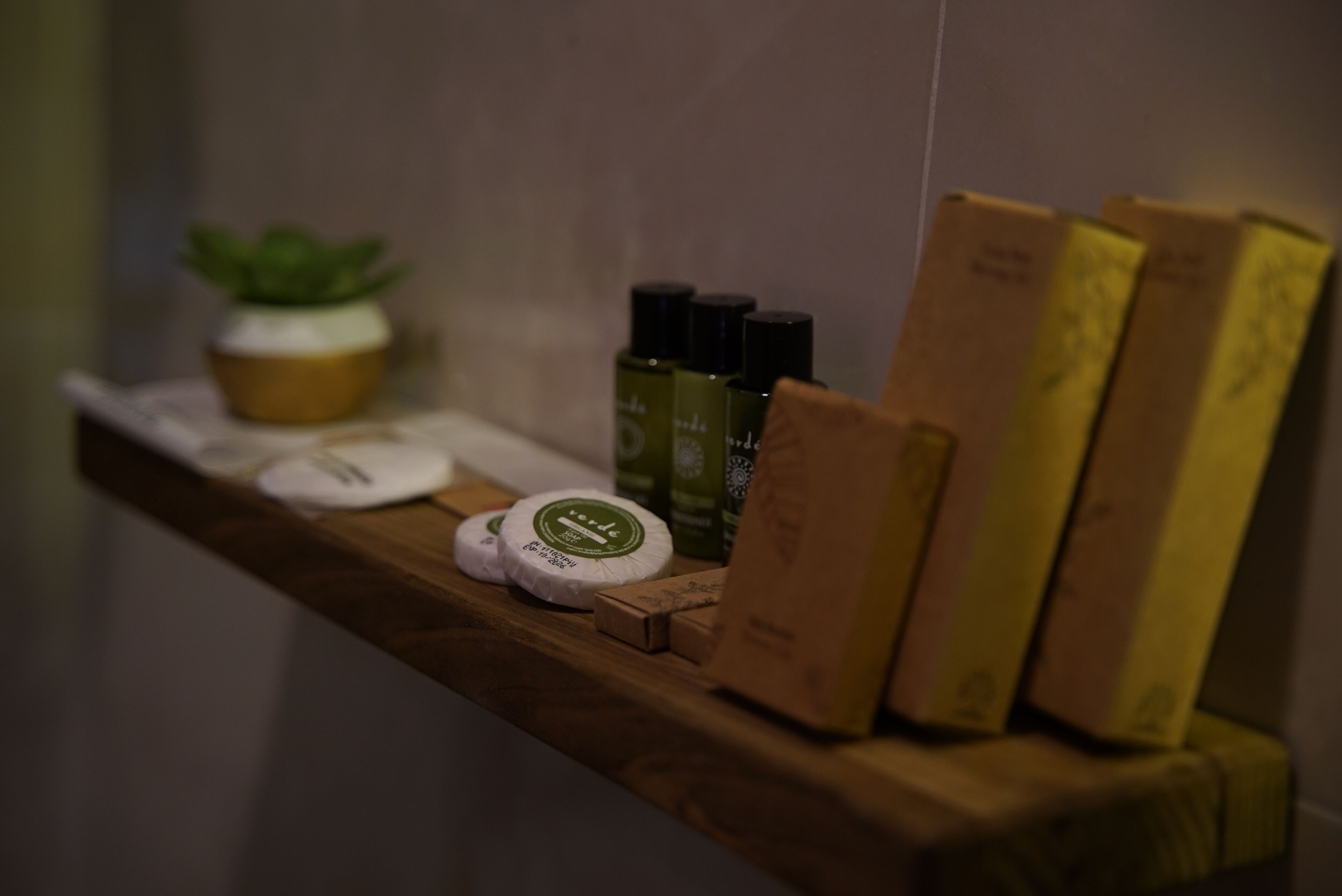 economy room, 1 double bed, garden view | bathroom | shower, hydromassage showerhead, hair dryer, slippers