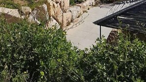 Un mur de pierre avec un grand arbre en arrière-plan.