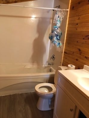 Combined shower/bathtub
