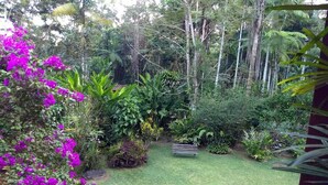 A lush garden with a grassy lawn, a wooden bench, and various tropical plants. - HOUSE IN PENEDO WITH WATERFALL (Penedo)
