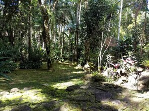 A forested area with a stone pathway, dense vegetation, and a variety of plants. - HOUSE IN PENEDO WITH WATERFALL (Penedo)
