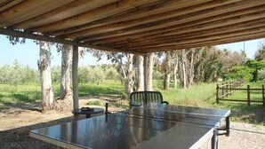 A ping pong table under a wooden shelter with a chair, surrounded by trees and a grassy field. - LE PESCINE - Lecci [SG] (Vada)