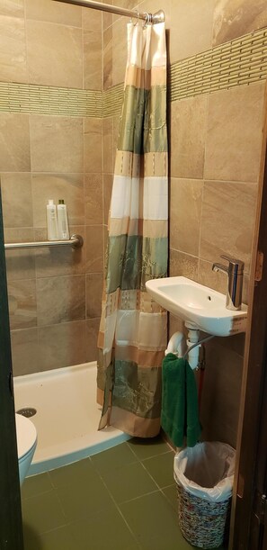 Combined shower/bathtub, hair dryer, towels, soap