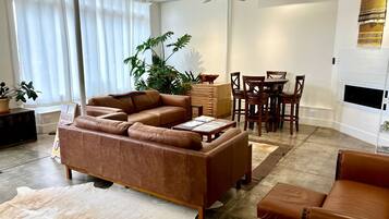 TV connectée, cheminée, lecteur de DVD, chaîne hi-fi