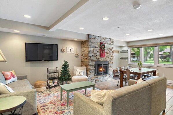 Télévision, cheminée, lecteur de DVD