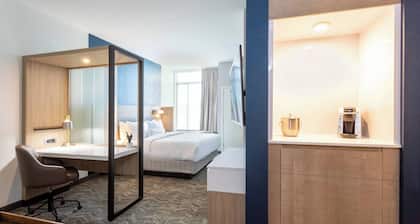 SpringHill Suites by Marriott Minneapolis Maple Grove/Arbor Lakes