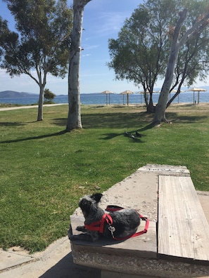 Property grounds - Home Away from Home. (Nea Makri)
