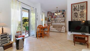 Smart TV, fireplace, DVD player, books