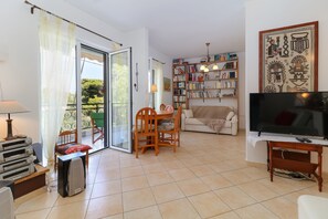 Smart TV, fireplace, DVD player, books