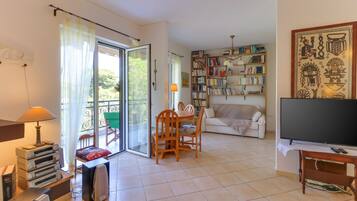 Smart TV, fireplace, DVD player, books