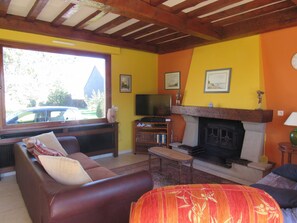 Una televisión, un reproductor de DVD, libros, una videoteca