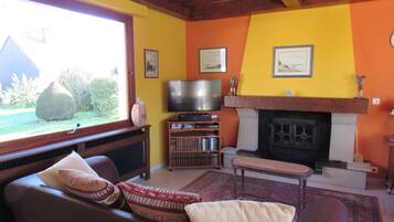 TV, DVD player, books, video library