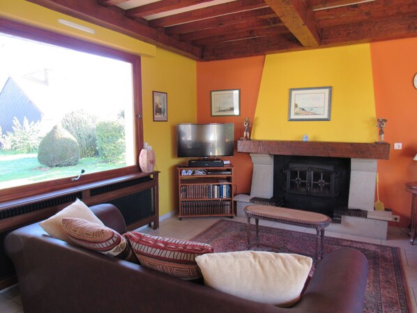 Télévision, lecteur de DVD, livres, vidéothèque