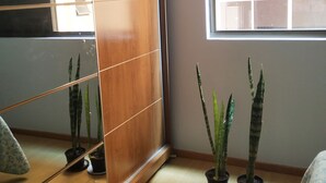 A bedroom with a large mirror, wooden wardrobe, potted plants, and a window with a view of buildings. - Apartment across from UFV with garage. (Centro)