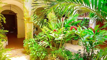 Área da propriedade