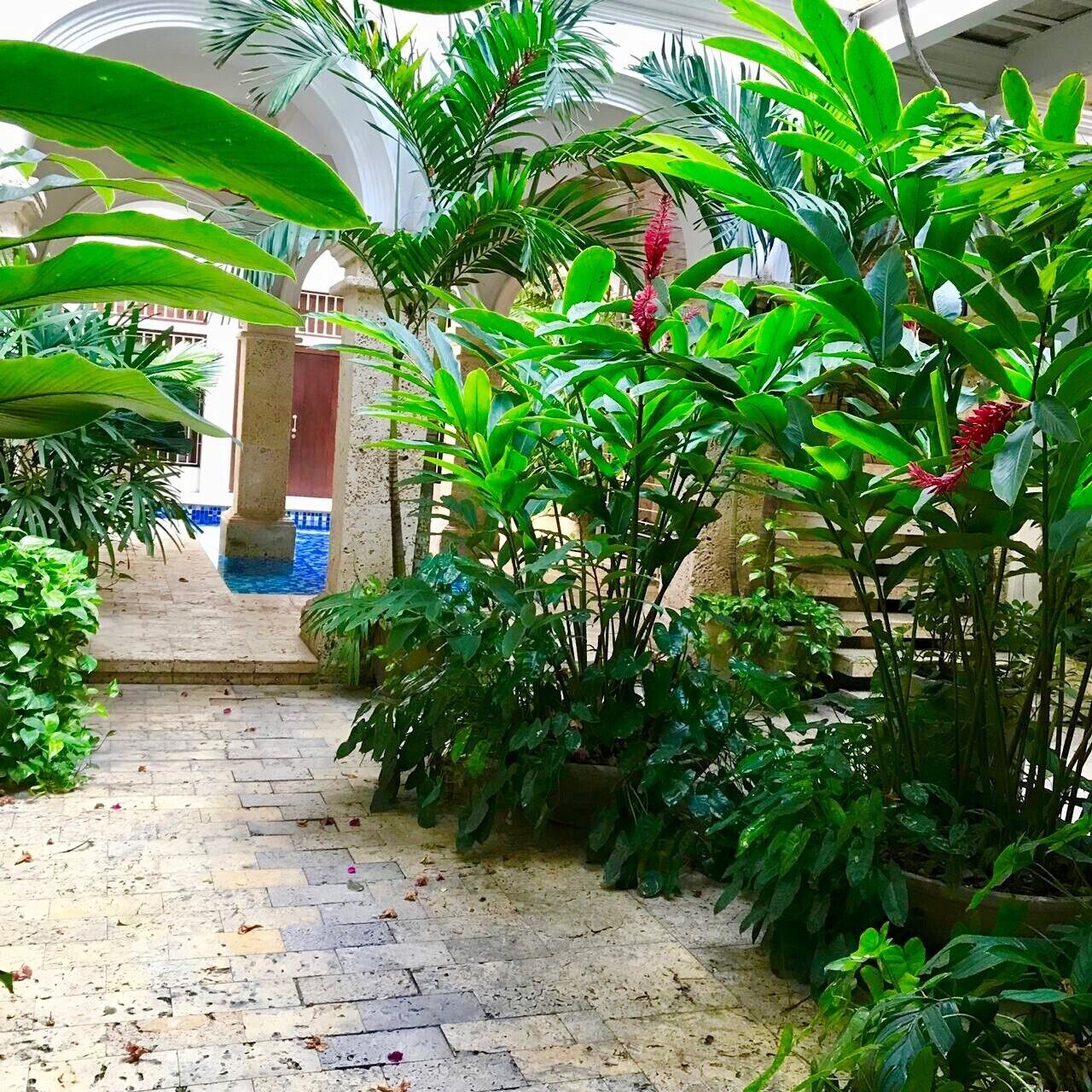 A covered walkway with lush green plants and a stone pathway leading to a building entrance.