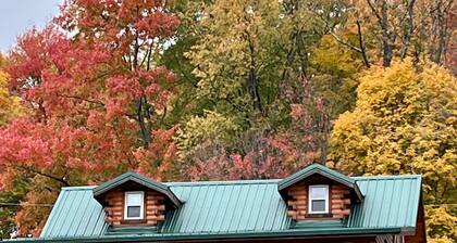 Cozy Lake Cabin Guilford Lake