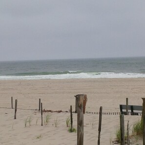Playa en los alrededores y camastros 