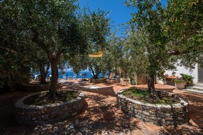Terrace/patio - Hotel Ristorante Madonna Della Scala (Castellabate)