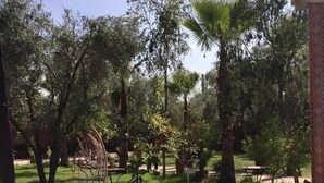 Vue sur le jardin