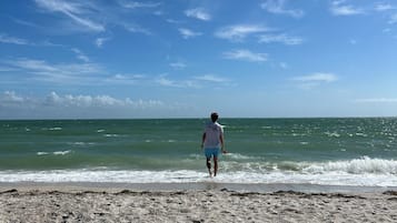 Plage, chaises longues