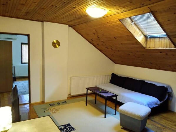 TV, fireplace, table tennis