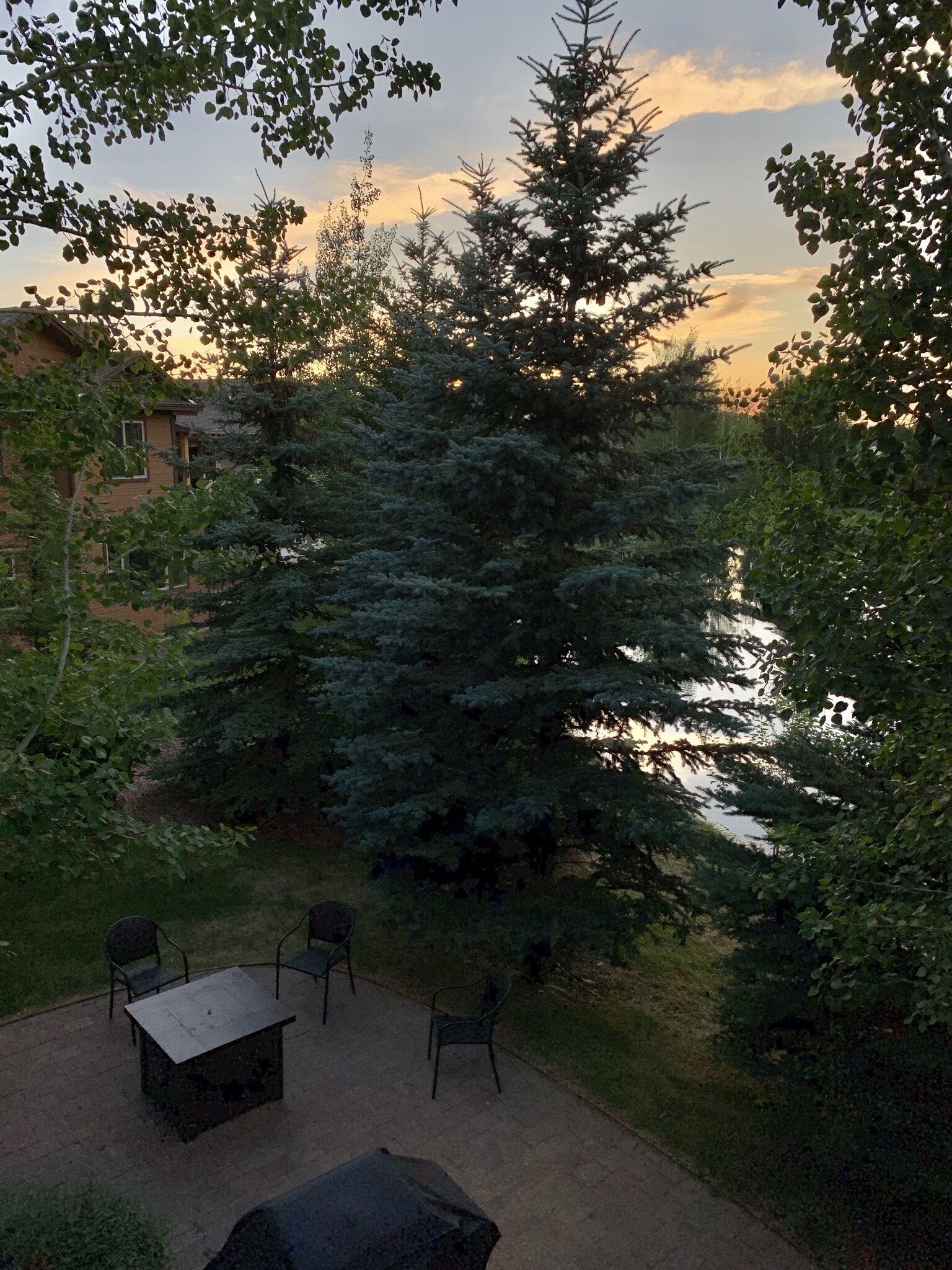 An outdoor seating area with a table and chairs, surrounded by trees and a view of a body of water.