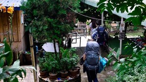 A garden area with potted plants and a wooden structure. - Wanderthirst Hostel (Kathmandu)