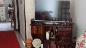 Un salon avec un tapis rouge, un téléviseur posé sur un meuble en bois et un canapé agrémenté d’un coussin à motifs floraux.