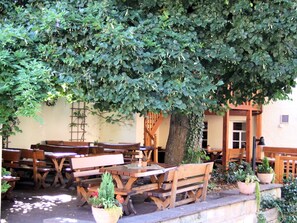 Een terras met houten tafels en banken onder een grote boom.