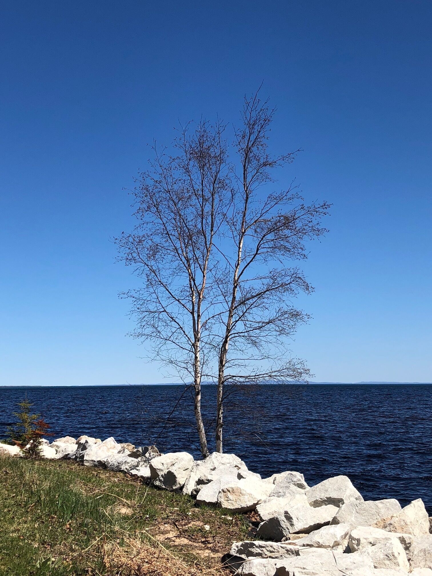 8 Best PetFriendly Cabins Near Tahquamenon Falls, Michigan Updated