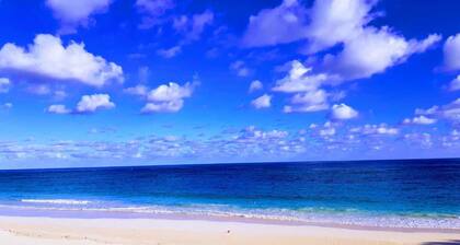 "Chan Mar" Tucker's Town Bermudas