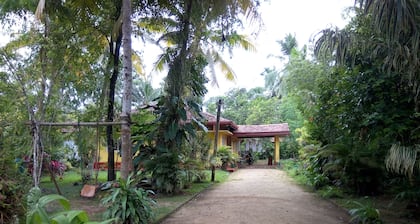 Shenya Villa and Homestays