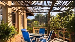 A patio with a table and chairs, surrounded by plants and a wooden fence.