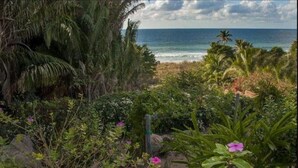A tropical garden with a view of the ocean.
