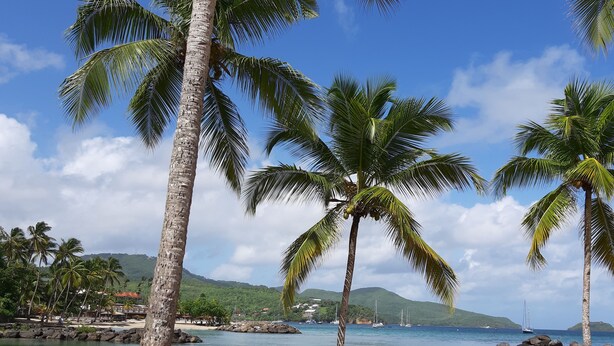 A beach with palm trees, clear blue water, and distant sailboats. - sea view apartment on the Caribbean (Les Trois-Îlets)