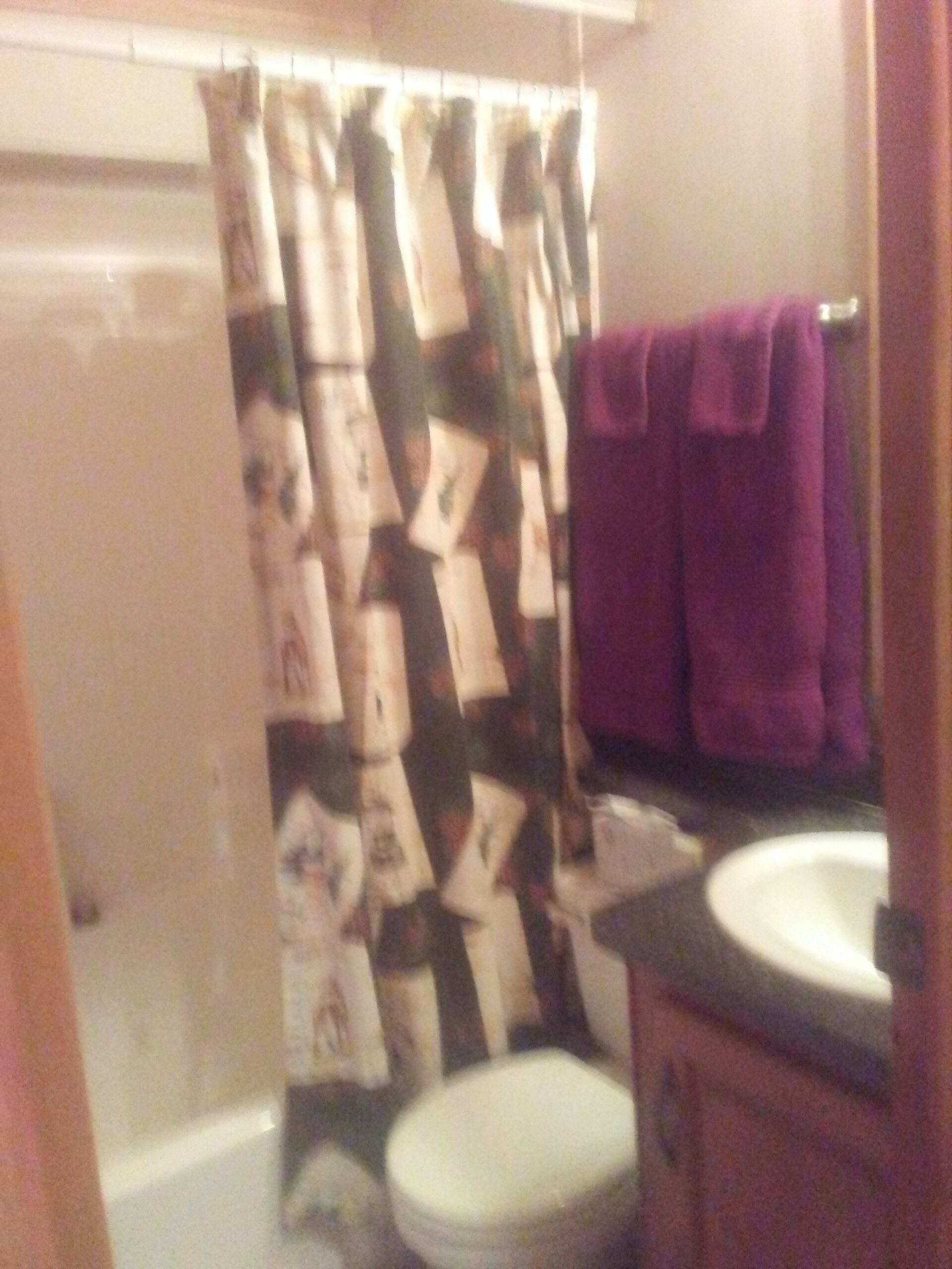 Een bad/douchecombinatie, een haardroger, handdoeken