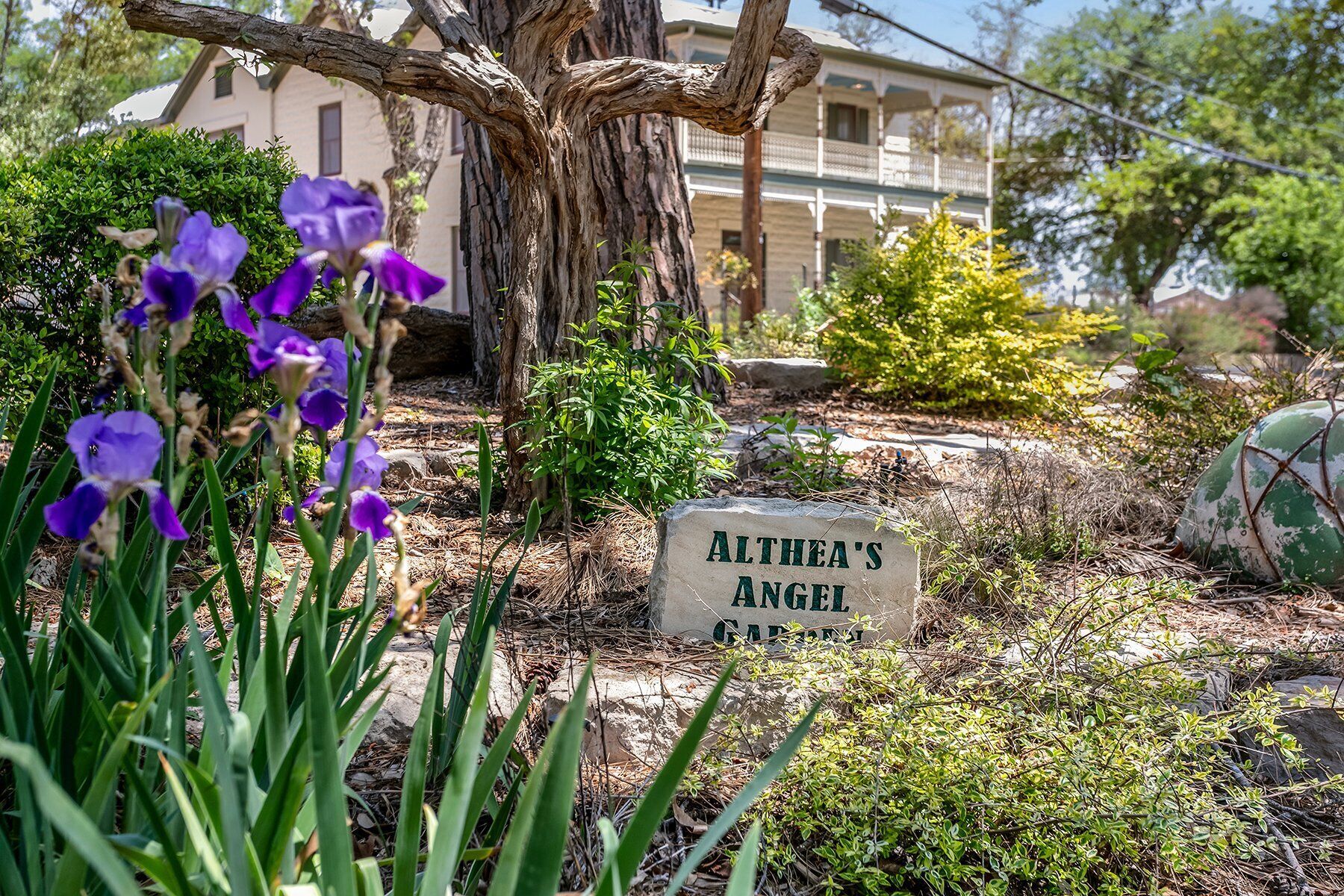 A garden with a sign reading "Althea's Angel Garden".