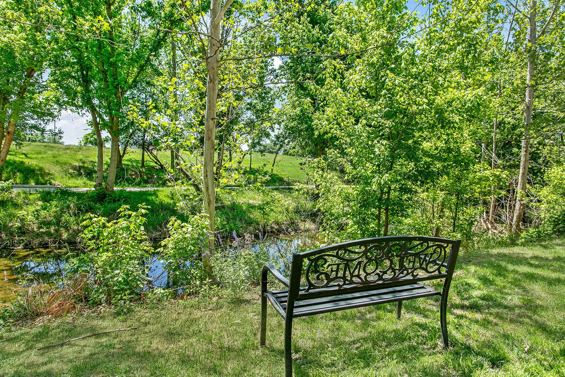 A bench in a park with a pond and trees.