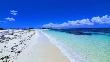 Plage, chaises longues, serviettes de plage