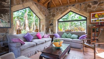 Télévision, lecteur de DVD, table de tennis de table, livres